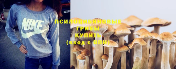 каннабис Абаза