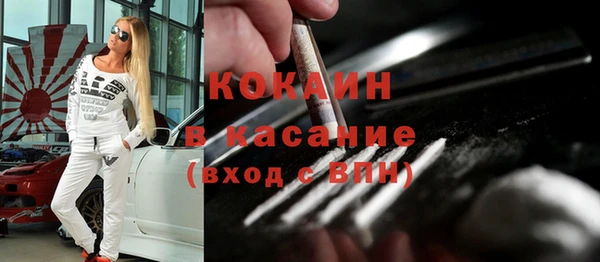 сатива Абинск