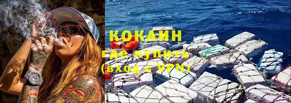 сатива Абинск
